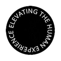 DeloitteDigitalPL ehe deloitte digital human experience elevating human experience Sticker