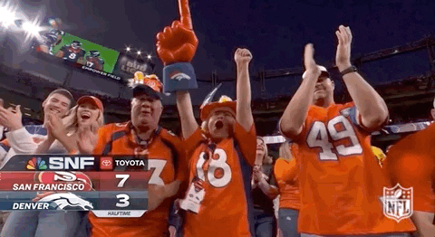 Denver Broncos Football GIF by NFL