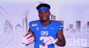 College Sports Ncaa GIF by SMU Football