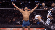Mixed Martial Arts Sport GIF by UFC