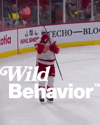 WildBehavior griddy detroit red wings nhl griddy wallman griddy GIF