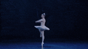 Nutcracker GIF by English National Ballet