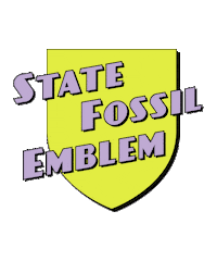 Museum Fossils Sticker by Museums Victoria