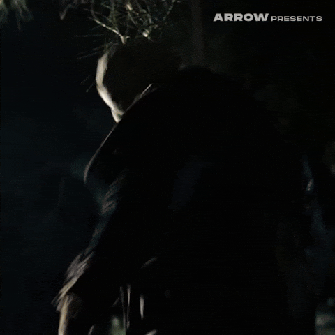 Friday The 13Th Film GIF by Arrow Video