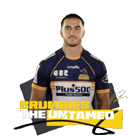 Super Rugby Act Sticker by BrumbiesRugby