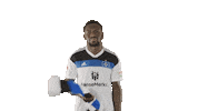 Football Bundesliga Sticker by HSV