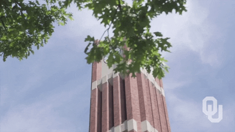 university of oklahoma GIF
