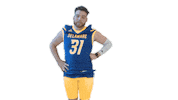 Lets Go Football Sticker by Delaware Blue Hens