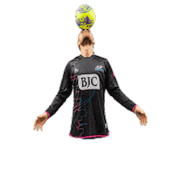 Riseasone Sticker by St. Louis Ambush