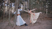kung fu qin shi li ren ming yue xin GIF