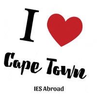 South Africa Travel GIF by IES Abroad