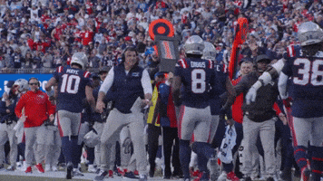 Mike Vrabel Football GIF by New England Patriots
