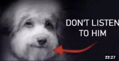 Dog GIF