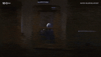 Breaking In Alarm GIF by Hunted Australia