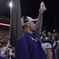 Horned Frogs Celebration GIF by TCU Football