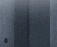 X GIF