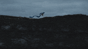Country Music Smile GIF by Kacey Musgraves
