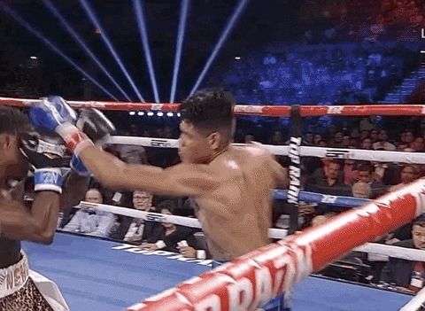 toprank giphyupload fight fighting espn GIF