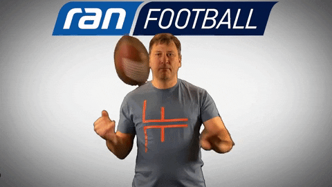 american football GIF by ransport