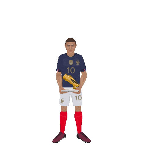 France Football Sticker by Panini America
