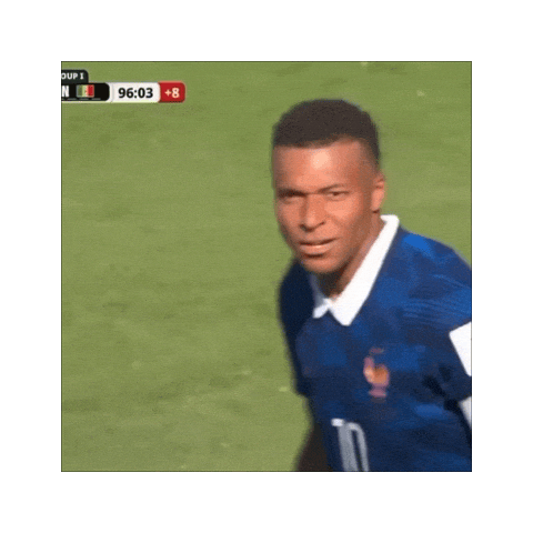 France World Cup Soccer Fans Sticker