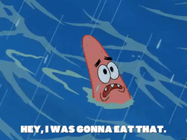 season 6 GIF by SpongeBob SquarePants