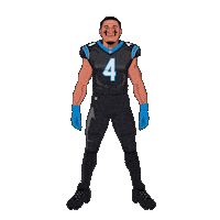 Keep Pounding Carolina Panthers Sticker by Panini America