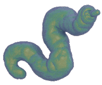 animation art GIF by jellygummies