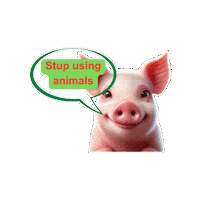 Vegan Pig Sticker by Natur-Clean-up