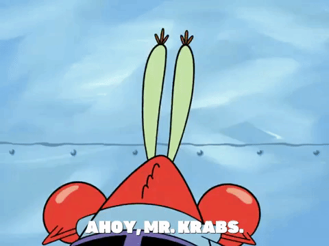 season 6 dear vikings GIF by SpongeBob SquarePants