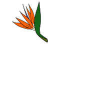 Birdofparadise Sticker by Byrdie Beauty