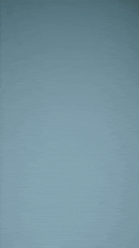 happy olympique lyonnais GIF by UEFA