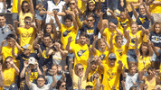College Football GIF by WVU Sports