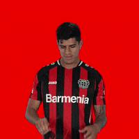 Whats Up Summer GIF by Bayer 04 Leverkusen