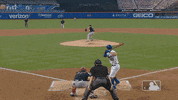 Ny Mets Baseball GIF by New York Mets