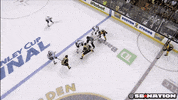 nhl GIF by SB Nation