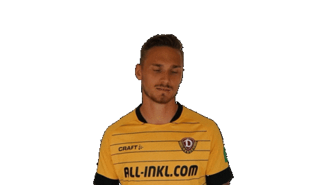 Logo Celebrate Sticker by SG Dynamo Dresden