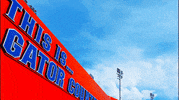 Football Stadium Sky GIF by University of Florida
