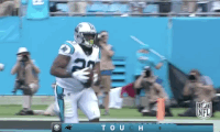 carolina panthers football GIF by NFL
