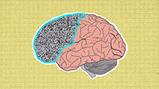 power brain GIF by University of California