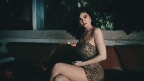 giphygifmaker kylie jenner kendall and kylie GIF