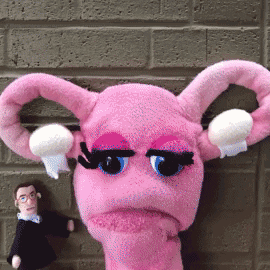Ruth Bader Ginsburg Puppet GIF by Abortion Access Front