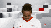 Line Up Hello GIF by Bundesliga