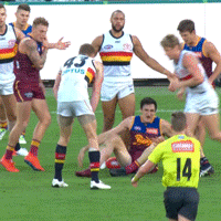 GIF by AFL