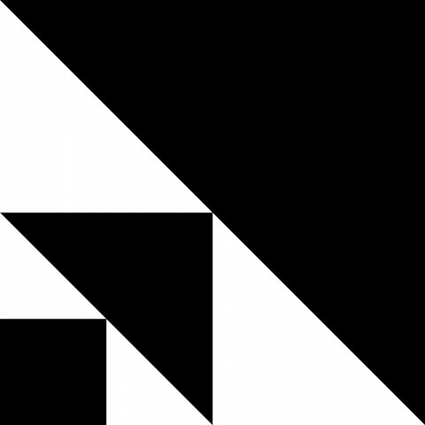 Black And White Geometry GIF by xponentialdesign