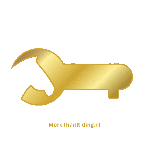 morethanriding key morethanriding morethanridingnl meerdanpaardrijden Sticker