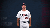 Pro GIF by USA Baseball