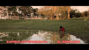 ambulantepresenta elremolino GIF