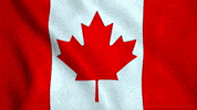 Canadian Flag GIF