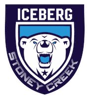 F45Stoneycreek f45 stoney creek f45stoneycreek f45stoneycreekiceberg f45 stoney creek iceberg Sticker